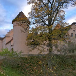 Ēdoles pils Ēdoles pils