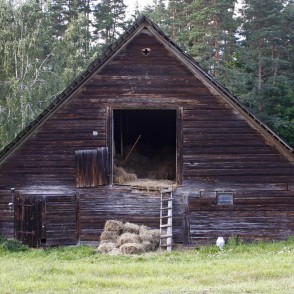 Koka saimniecības ēka Mežmuižā Koka saimniecības ēka Mežmuižā