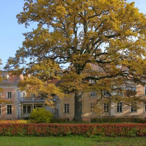 Ozolmuižas pils (Lappier) rudenī Ozolmuižas pils (Lappier) rudenī