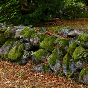 Rindas baznīcas akmens sēta Rindas baznīcas akmens sēta