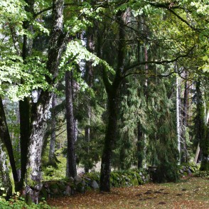 Rindas baznīcas akmens sēta Rindas baznīcas akmens sēta