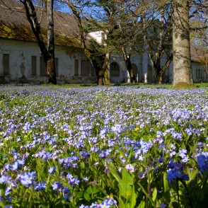 Cīravas muižas zirgu stallis Cīravas muižas zirgu stallis
