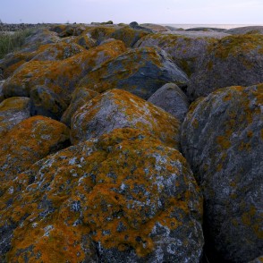 Rojas dienvidu mola akmeņi Rojas dienvidu mola akmeņi