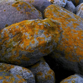 Rojas dienvidu mola akmeņi Rojas dienvidu mola akmeņi