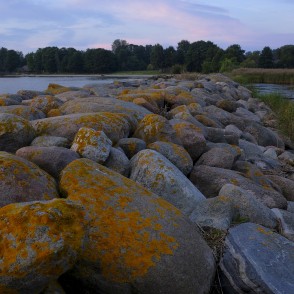 Rojas dienvidu mols Rojas dienvidu mols