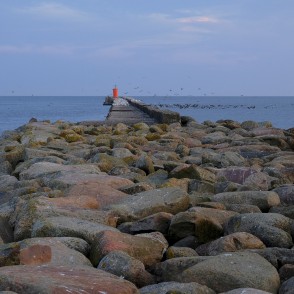 Rojas dienvidu mols Rojas dienvidu mols