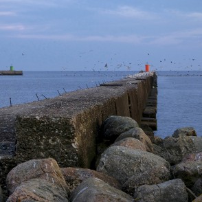 Rojas mols Rojas mols