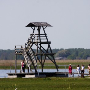 Putnu vērošanas tornis pie Engures ezera Putnu vērošanas tornis pie Engures ezera