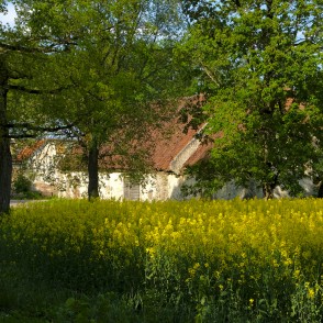 Skats uz Popes muižu Skats uz Popes muižu