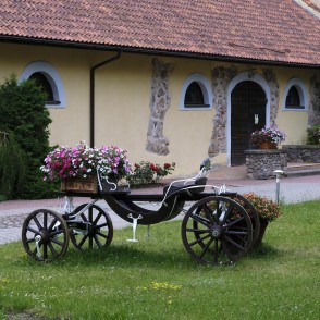 Zirgu rati Šlokenbekas muižā Zirgu rati Šlokenbekas muižā