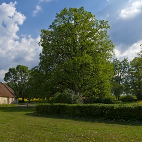 Popes muižas pārvaldnieka ēka un klēts Popes muižas pārvaldnieka ēka un klēts