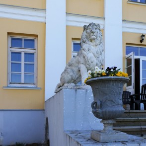 Lauva pie Bruknas muižas ieejas kāpnēm Lauva pie Bruknas muižas ieejas kāpnēm