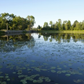 Kukšu dzirnavu ezers Kukšu dzirnavu ezers