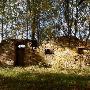 Briņķpedvāles muiža saimniecības ēkas drupas Briņķpedvāles muiža saimniecības ēkas drupas