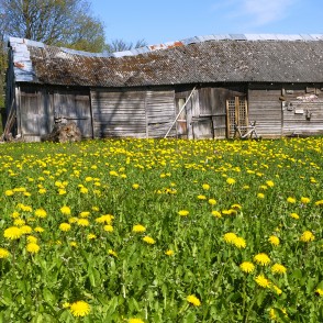 Koka saimniecības ēka pie Rāvas muižas Koka saimniecības ēka pie Rāvas muižas