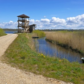 Durbes ezera putnu vērošanas tornis Durbes ezera putnu vērošanas tornis