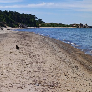 Ziemeļu forti Ziemeļu forti