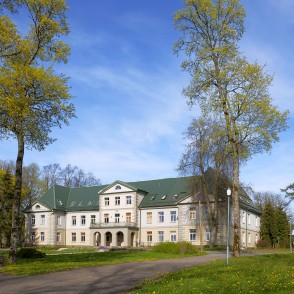 Iļģu muižas pils Iļģu muižas pils