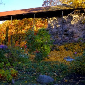 Smiltenes Ordeņa pils pilsdrupas Smiltenes Ordeņa pils pilsdrupas