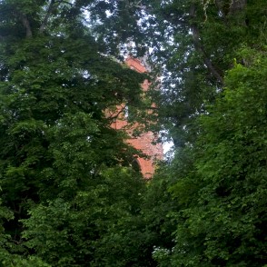 Kokos ieaugusi Zalves luterāņu baznīca Kokos ieaugusi Zalves luterāņu baznīca