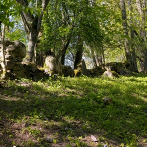Pilkalnes muižas apkārtne Pilkalnes muižas apkārtne