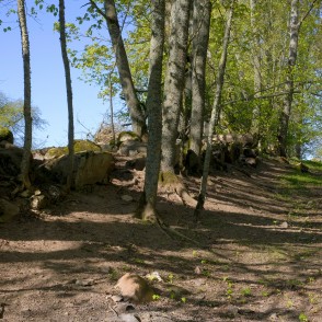 Pilkalnes muižas apkārtne Pilkalnes muižas apkārtne