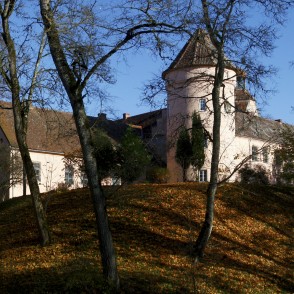 Ēdoles viduslaiku pils Ēdoles viduslaiku pils