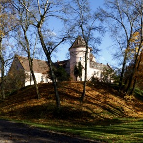 Ēdoles viduslaiku pils Ēdoles viduslaiku pils