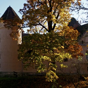 Ēdoles viduslaiku pils Ēdoles viduslaiku pils