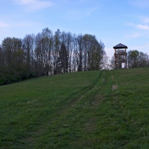 Skats uz Embūtes skatu torni Skats uz Embūtes skatu torni