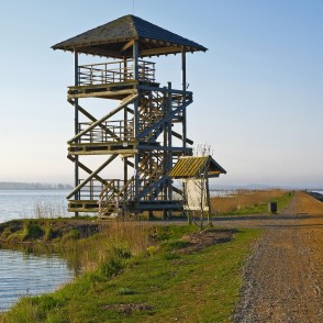 Liepājas ezera Zirgu salas tornis Liepājas ezera Zirgu salas tornis