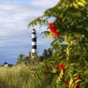 Daugavgrīvas bāka Daugavgrīvas bāka