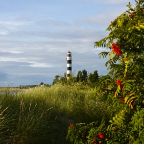 Daugavgrīvas bāka Daugavgrīvas bāka