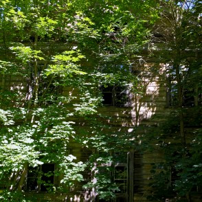 Brikšņos ieaugusi Jāmaiķu muiža Brikšņos ieaugusi Jāmaiķu muiža