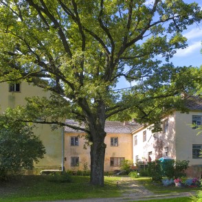 Pamūšas muiža Pamūšas muiža