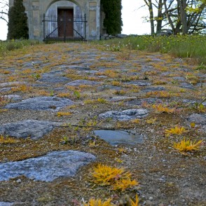 Bruģēts ceļš uz Lutriņu luterāņu baznīcu Bruģēts ceļš uz Lutriņu luterāņu baznīcu