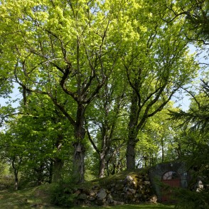 Mēdemu dzimtas kapi un kapliča Remtē Mēdemu dzimtas kapi un kapliča Remtē