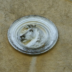 Zirgu galvas cilnis Remtes muižas manēžas ēkā Zirgu galvas cilnis Remtes muižas manēžas ēkā