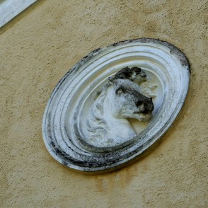 Zirgu galvas cilnis Remtes muižas manēžas ēkā Zirgu galvas cilnis Remtes muižas manēžas ēkā