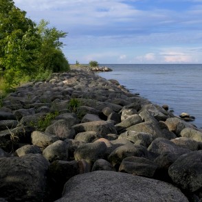 Rojas dienvidu mols Rojas dienvidu mols