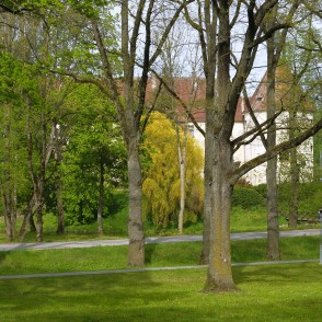 Skats uz Jaunpils pili caur parku Skats uz Jaunpils pili caur parku