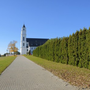 Dzīvžogs pie Aglonas bazilikas Dzīvžogs pie Aglonas bazilikas