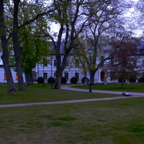 Rūmenes muižas pils Rūmenes muižas pils