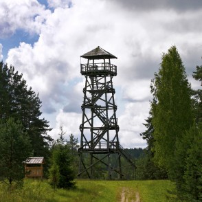 Vasargelišķu vecais skatu tornis Vasargelišķu vecais skatu tornis