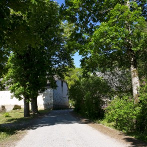 Aleja pie Striķu muižas Aleja pie Striķu muižas