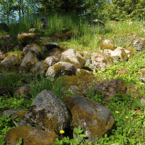 Akmeņi pie Zvārdes baznīcas drupām Akmeņi pie Zvārdes baznīcas drupām