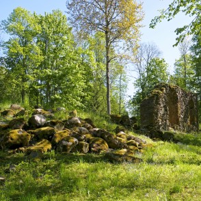 Zvārdes baznīcas drupas Zvārdes baznīcas drupas