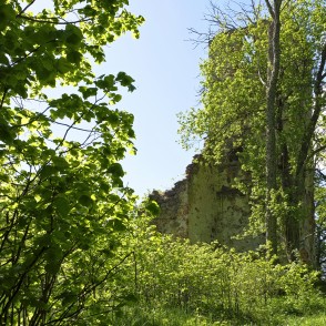 Ķerkliņu baznīcas drupas Ķerkliņu baznīcas drupas