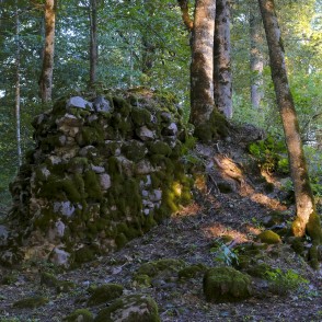 Zaubes ordeņa pils pilsdrupas Zaubes ordeņa pils pilsdrupas