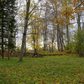 Vecsalacas muižas parks un ēkas drupas Vecsalacas muižas parks un ēkas drupas